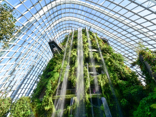 ■ ガーデンズ・バイ・ザ・ベイ(クラウドフォレスト)