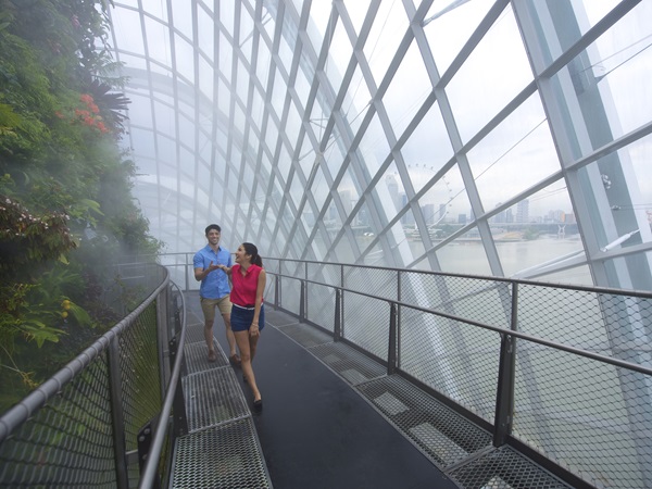 ■ ガーデンズ・バイ・ザ・ベイ(クラウドフォレスト)