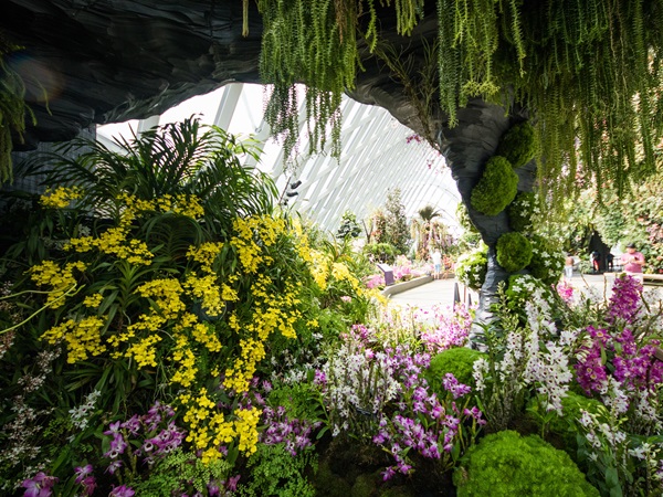 ■ ガーデンズ・バイ・ザ・ベイ(クラウドフォレスト)