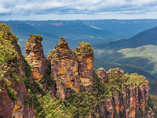 日本語でご案内！ジャックさんのブルーマウンテン + キングステーブル & ルーラ