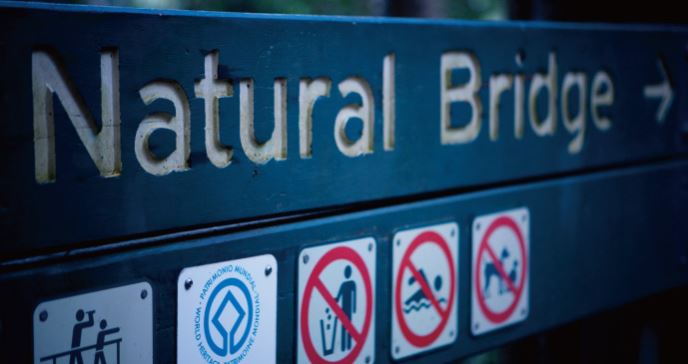 🦉 ユニークな動植物との出会い