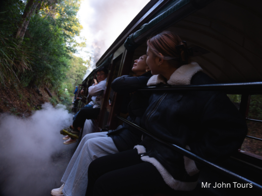 メルボルン、ダンデノン、蒸気機関車