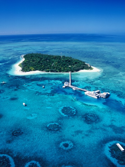 【限定販売商品】グリーン島ディスカバリー（ランチ＆ノーザンビーチホテル送迎付き）