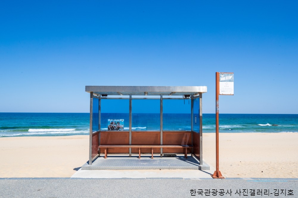 専用車と日本語ガイド（ソウル-江原道） バン（定員5名