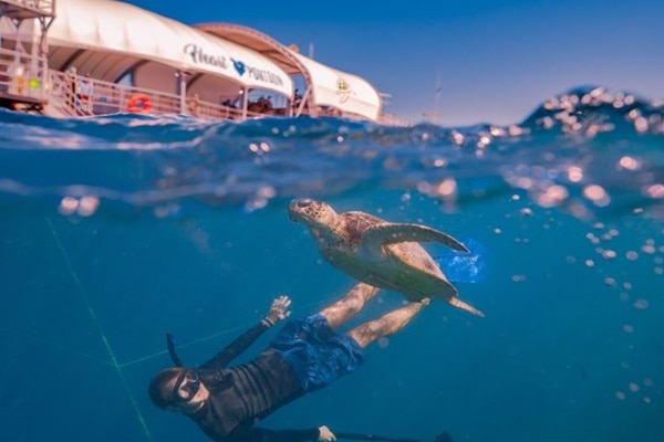 グレートバリアリーフアドベンチャーズ（１日）【ランチ付き/英語ツアー】