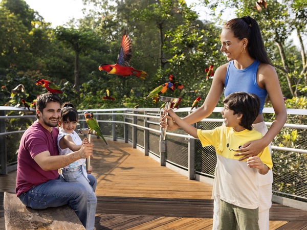 トロピカルな色とりどりの珍しい鳥たちがお出迎え