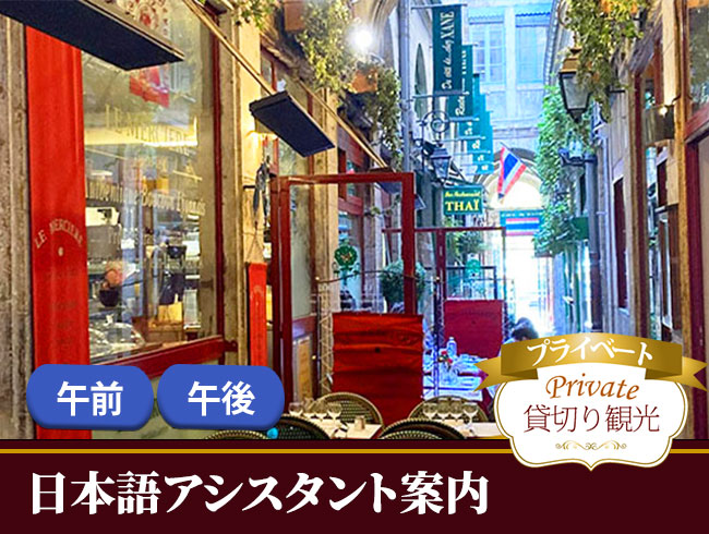 自由気ままに！リヨン市内観光・午前/午後（日本語プライベート案内）