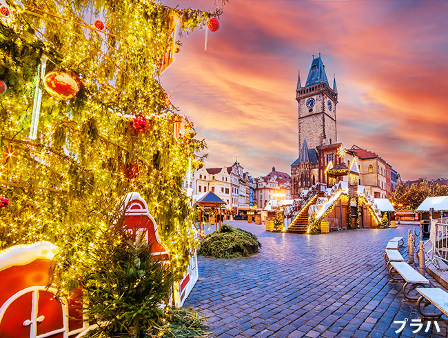 ✨🎄 クリスマス時期は、ヨーロッパが輝く季節 🎄✨