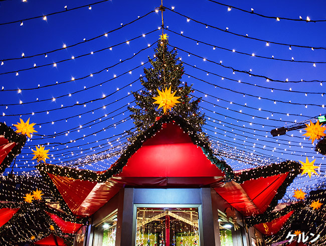 ✨🎄 クリスマス時期は、ヨーロッパが輝く季節 🎄✨