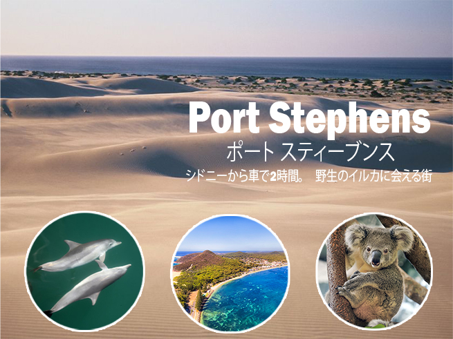 大自然と海を満喫【ポートスティーブンス1日観光】クルーズランチ付き