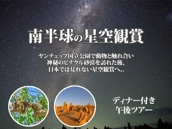 日本語ガイドと行く！【コアラ観察＆星空鑑賞】神秘のピナクルズツアー（ディナー付き）