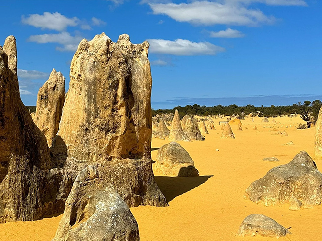 日本語ガイドと行く！【奇岩ピナクルズ＆大砂丘４ＷＤアドベンチャー＆コアラ観察】（送迎・ランチ付き）