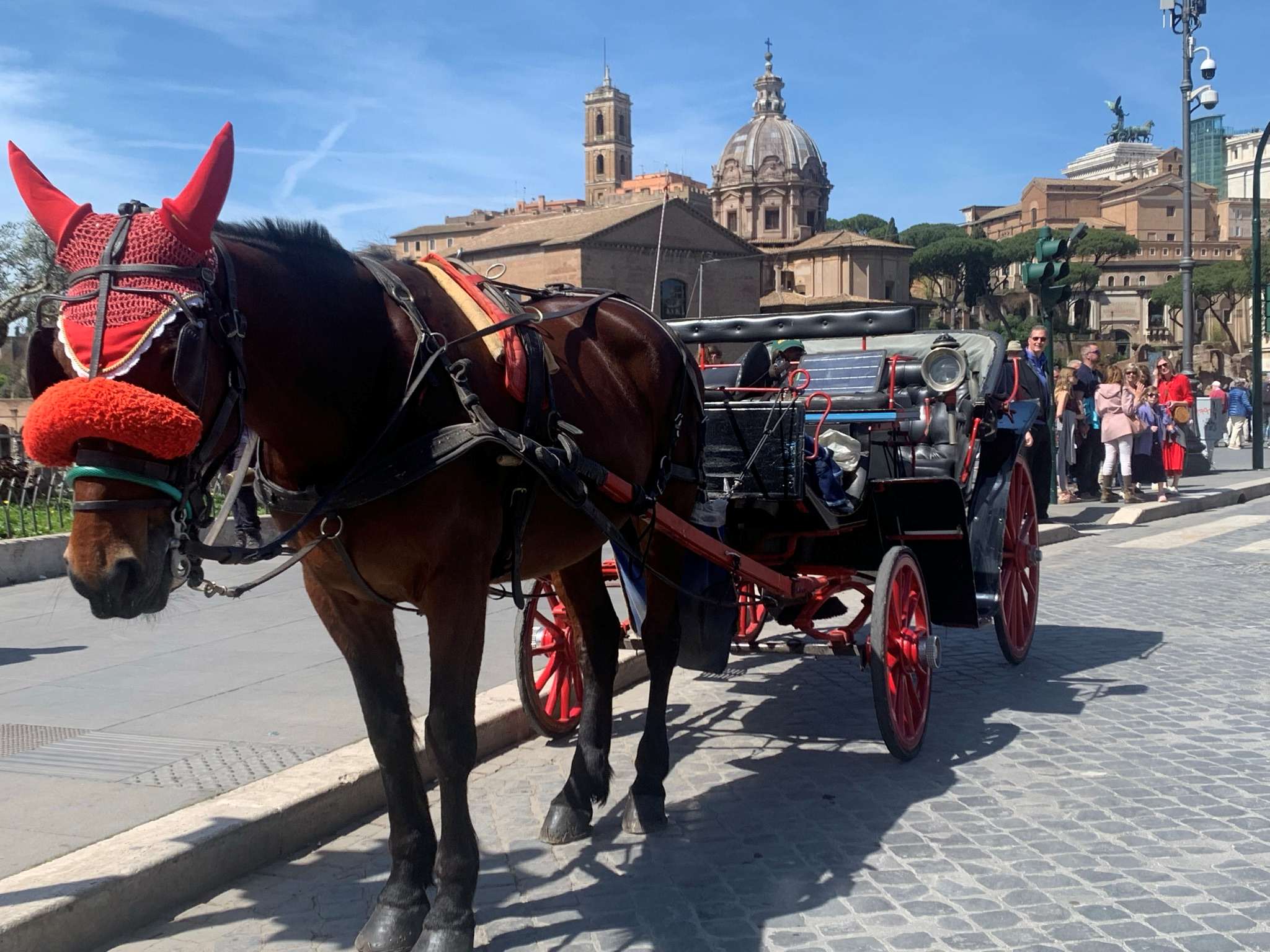 【午後・馬車散策付プラン】では馬車で優雅にローマを駆け抜ける🐎