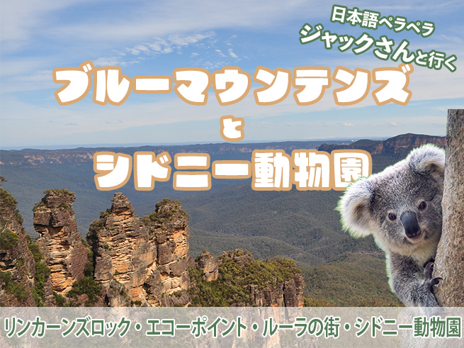 日本語でご案内！ジャックさんのブルーマウンテン + シドニー動物園 + キングステーブル + ルーラ