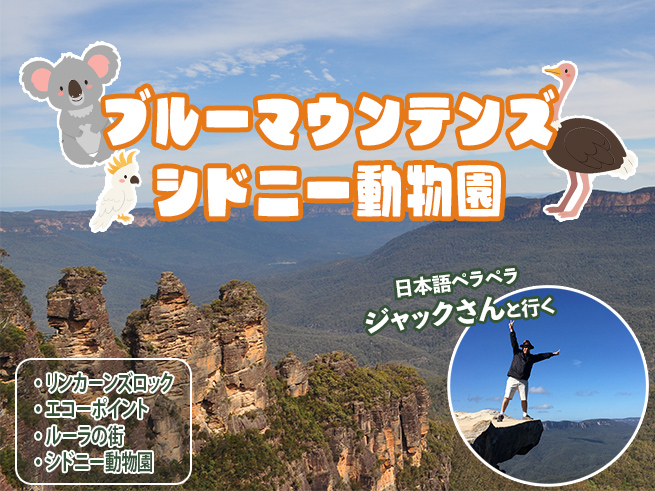 日本語でご案内！ジャックさんのブルーマウンテン + シドニー動物園 + キングステーブル + ルーラ