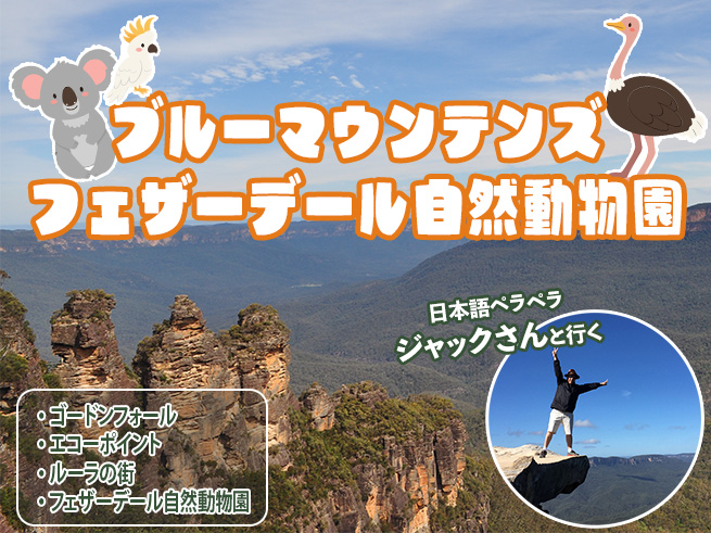 日本語でご案内！ジャックさんのブルーマウンテン + フェザーデール自然動物園 + ルーラ
