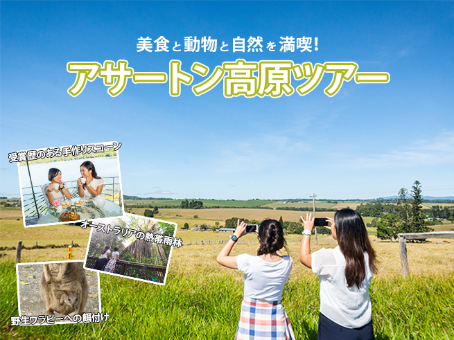 【日本語ガイド】アサートン高原めぐりツアー・ランチ付き