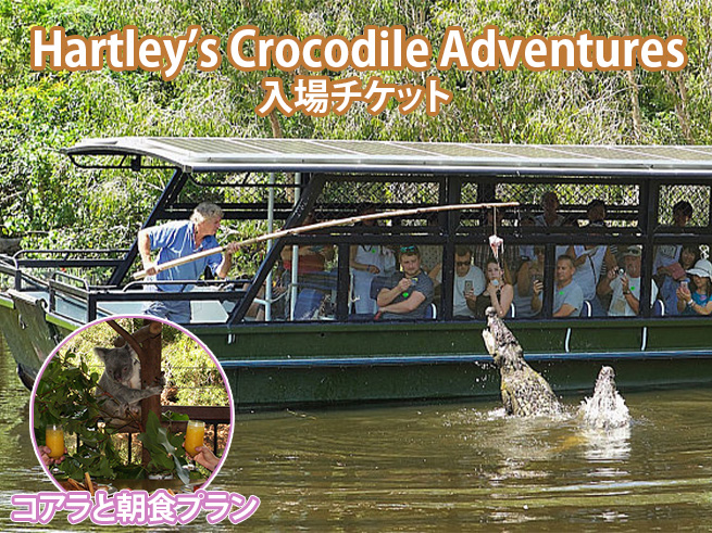 【ハートリース動物園】朝から幸せ体験！コアラと朝食プラン（選べる送迎）