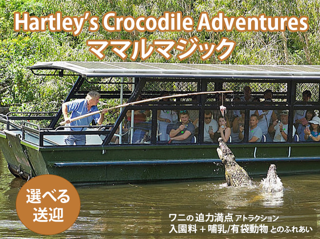 【ハートリース動物園】入園料 + 哺乳/有袋動物と触れ合い（コアラタッチ写真・ラグーンクルーズ付き）ママルマジック