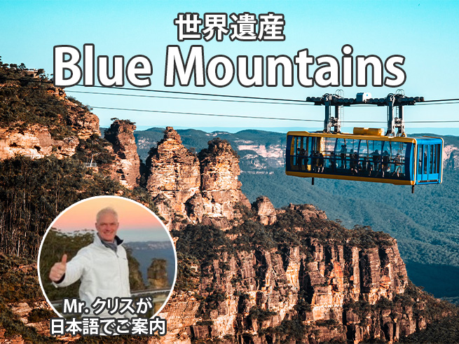 【世界遺産】ミスターシドニーのブルーマウンテンズツアー！（ミートパイ付き）