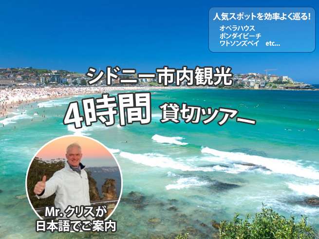 【貸切4時間プライベートツアー】ミスターシドニーのシドニー近郊おすすめスポット巡り