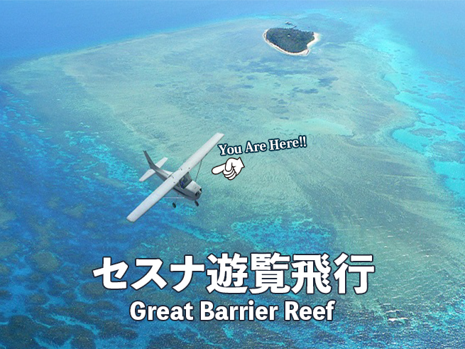 【セスナ遊覧飛行】空から眺める世界遺産グレートバリアリーフの絶景！（送迎付き）