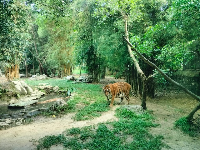 ★動物たちとの距離が近い！