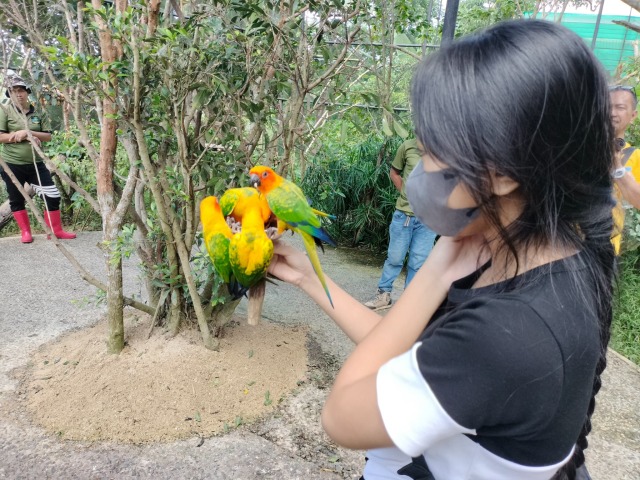 ★珍しい動物に出会える