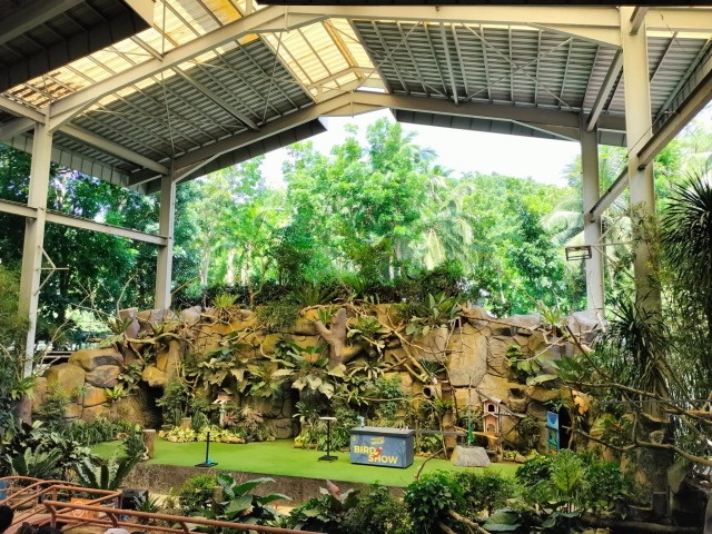 ★バードショーが面白い！
