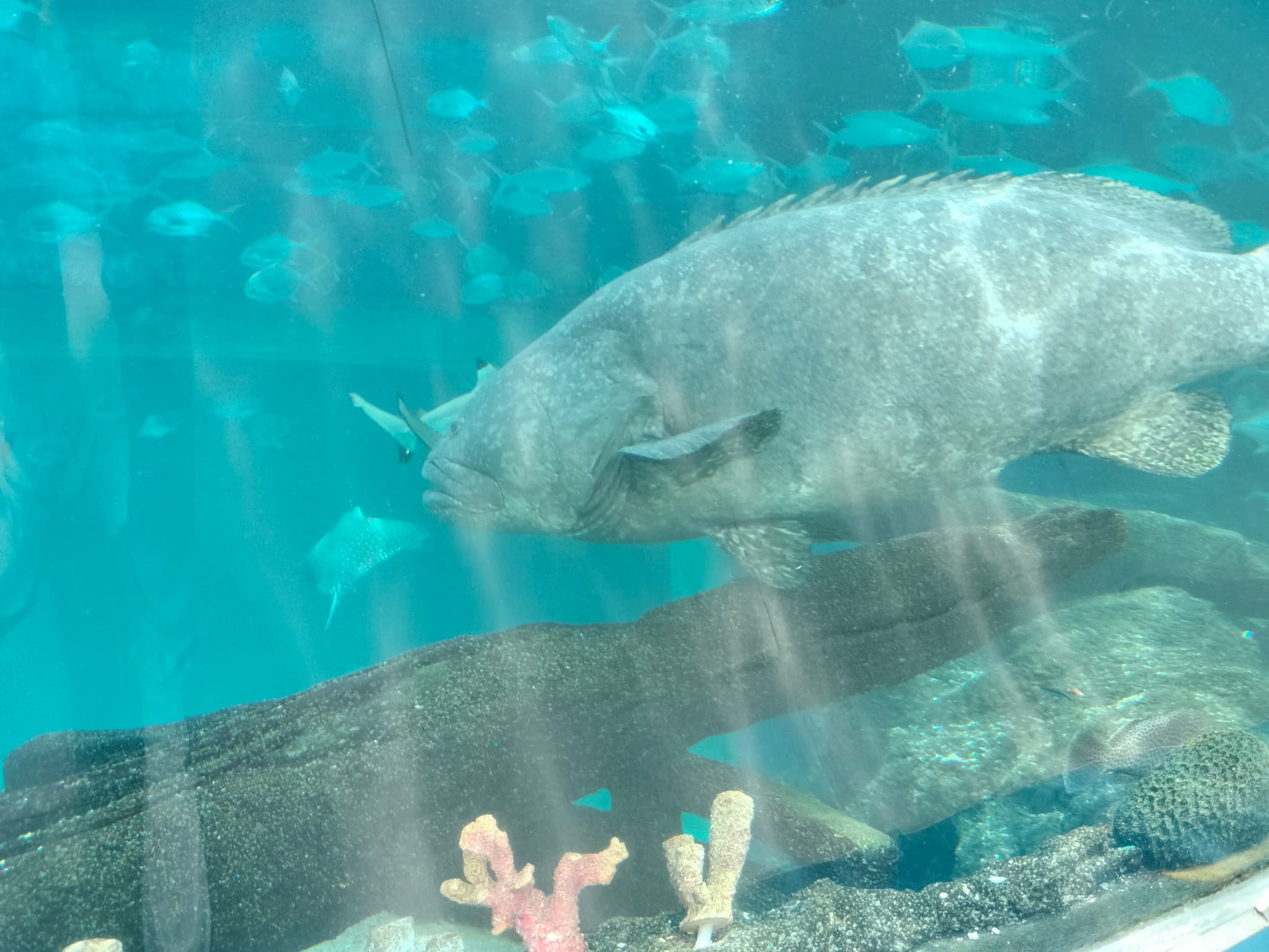 ★海の生き物を間近で観察できる多彩な展示エリア