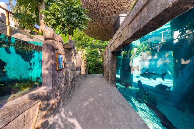 ★人気エリア「Seven Seas」「Creepy Critters」