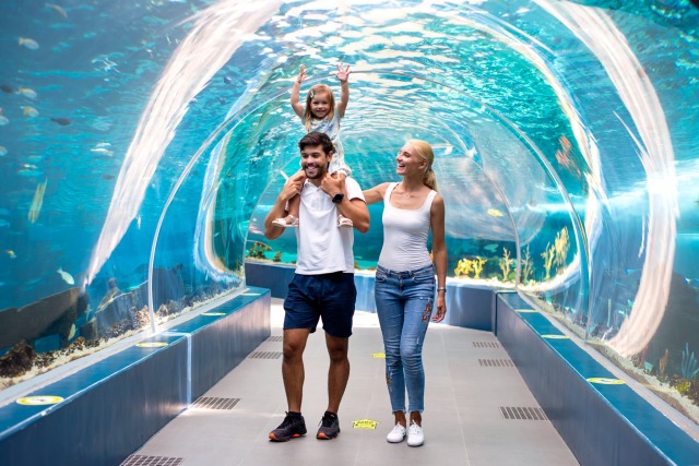 ★360度ドーム型アクアリウム「Oceanarium」