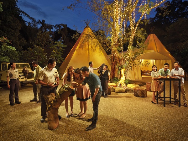 1月1日 (木) 40名限定！JTB新春特別企画【ナイトサファリ・イブニング イン ザ ワイルド】