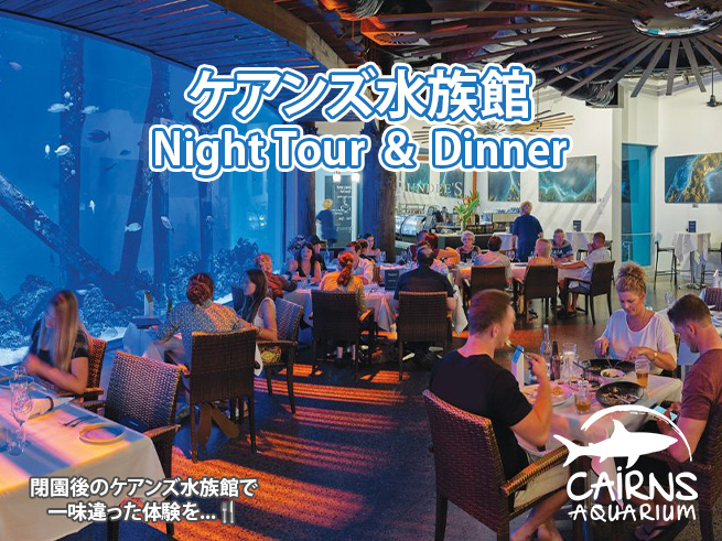 ケアンズ水族館の夜の世界へ【夜の水族館 & スクワイヤーズ2コースディナー】 （英語ツアー）