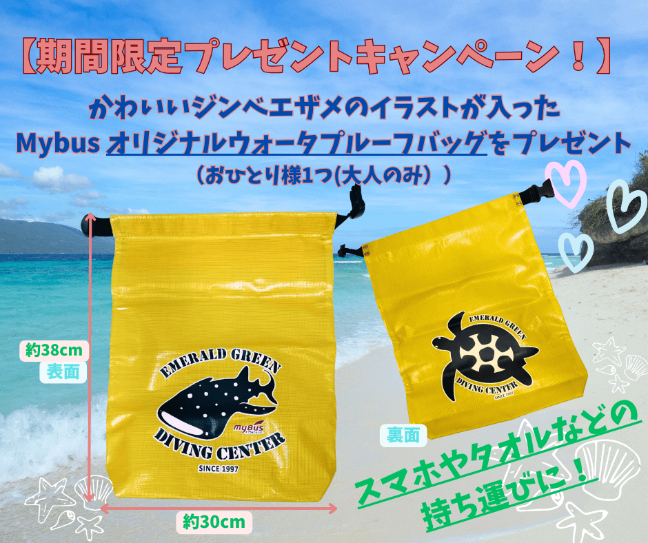 オリジナルウォータープルーフバッグの特典付き♪