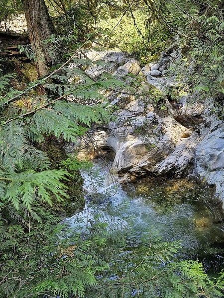 地元の人にも大人気！リン渓谷＆ディープコーブツアー《日本語ガイド / ウォーキングツアー》