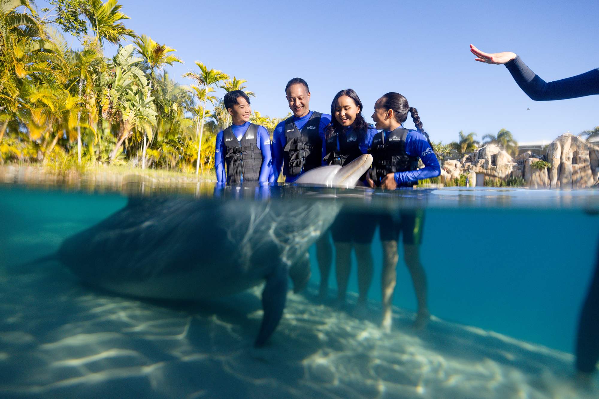 海の生き物たちとの出会い