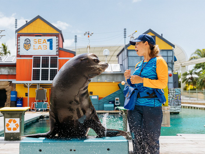 海の生き物たちとの出会い