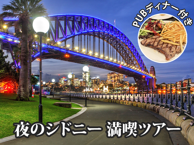 【日本語ガイドと歩く】夜のシドニー夜景鑑賞ツアー（パブディナー付き）