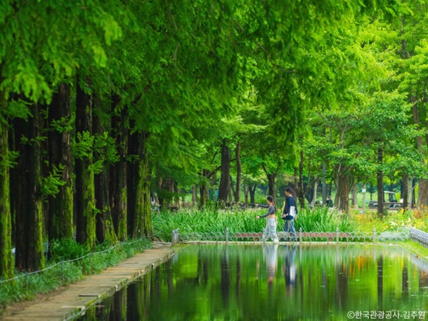 韓国ソウル最終日の過ごし方に迷う!そんなときのおすすめのツアー♪