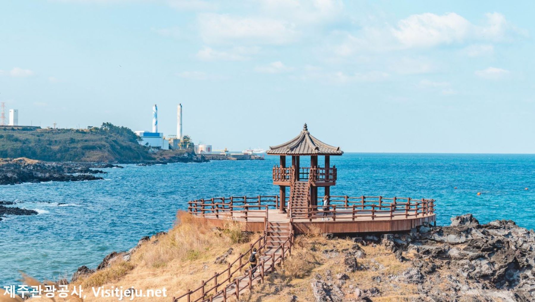 人混み嫌だ！特別な穴場タンモル With. トウモロコシアイスクリーム🌽📸✨