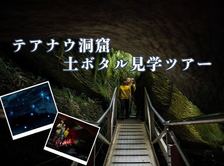 テアナウ洞窟 土ボタル見学ツアー