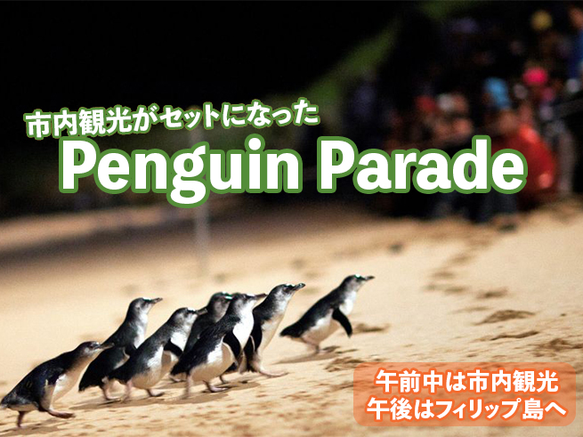 【フィリップ島ペンギンパレード】市内観光ツアー（日本語ガイダンスアプリ対応）　