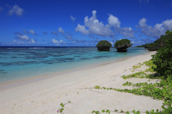 グッデイツアーズ（島内観光）