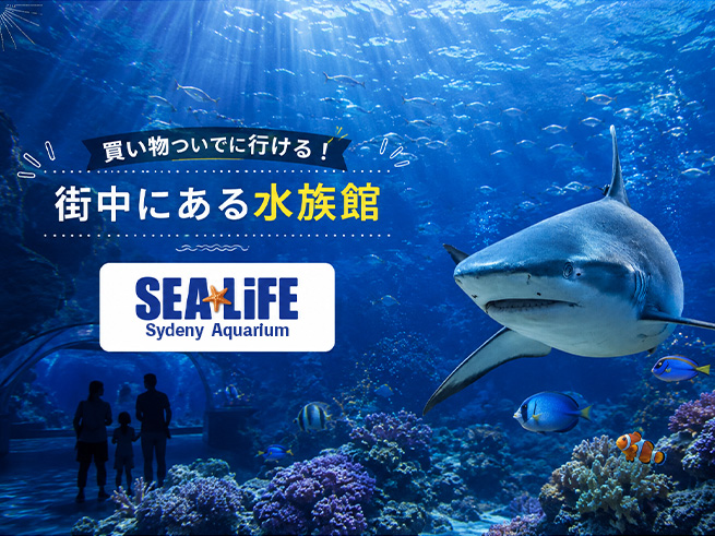 シドニー水族館 入園チケット【シーライフ】