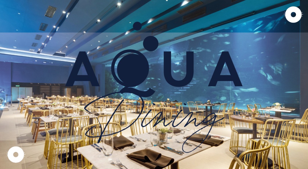 【レストラン食事プラン/セブ市内】オーシャンパーク水族館内のレストラン「Aqua Dining（アクアダイニング）」でコース料理を堪能 （日本語ガイド＋往復送迎付き）