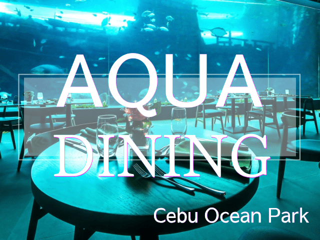 ★☆NEW☆★【レストラン食事プラン/セブ市内】オーシャンパーク水族館内レストラン「Aqua Dining（アクアダイニング）」で５コース料理を堪能 （選べる食事券／往復送迎付き／水族館入場チケット付き）