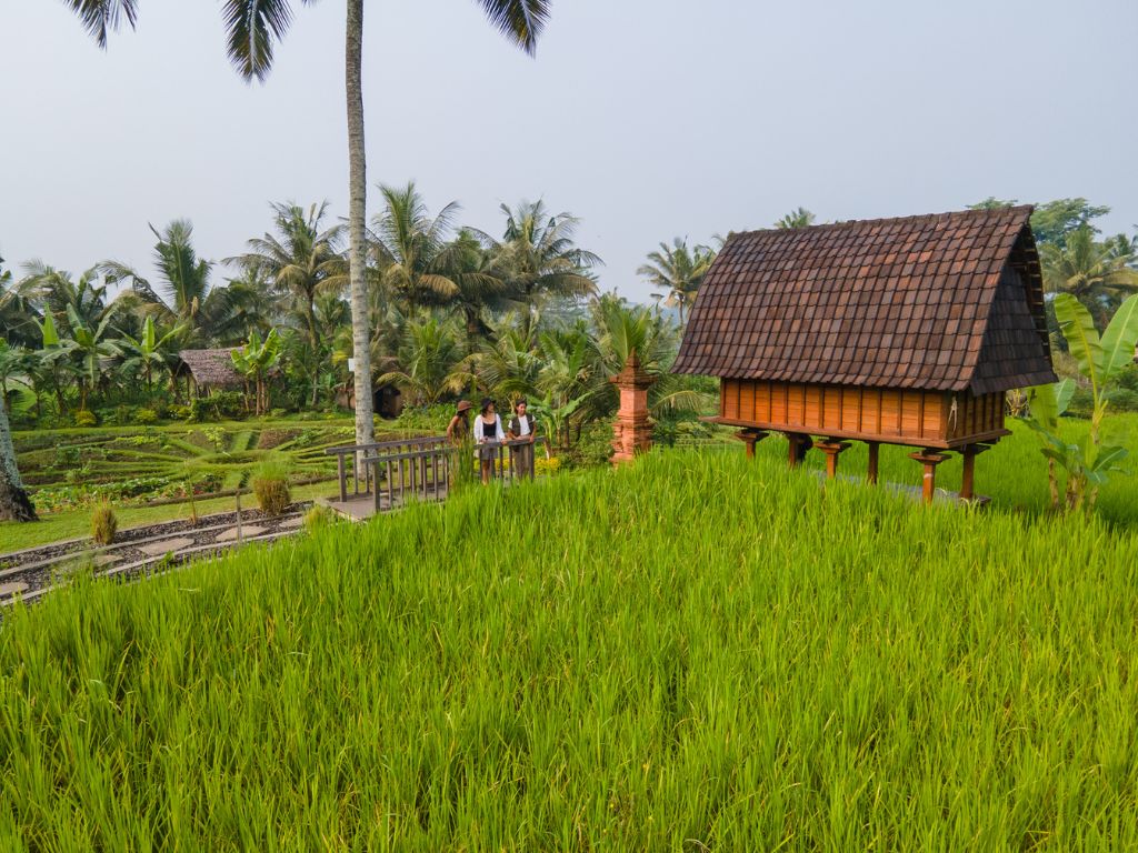  再生型農業（Regenerative Agriculture）とは？  