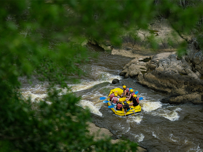 半日でOK！観光と両立しやすい