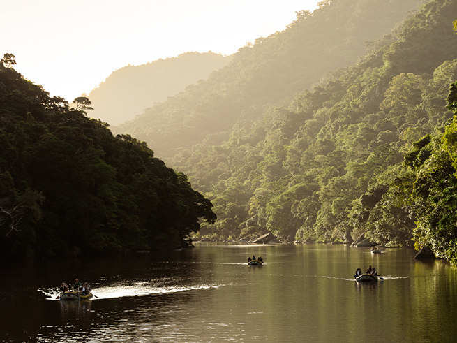 熱帯雨林の大自然を満喫